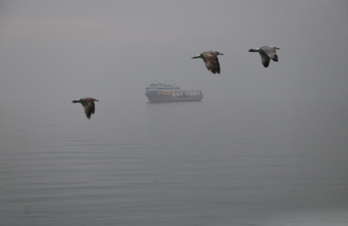 Tekirdağ'da yoğun sis nedeniyle görüş mesafesi yer yer 50 metreye kadar düştü. Denizdeki görüş...