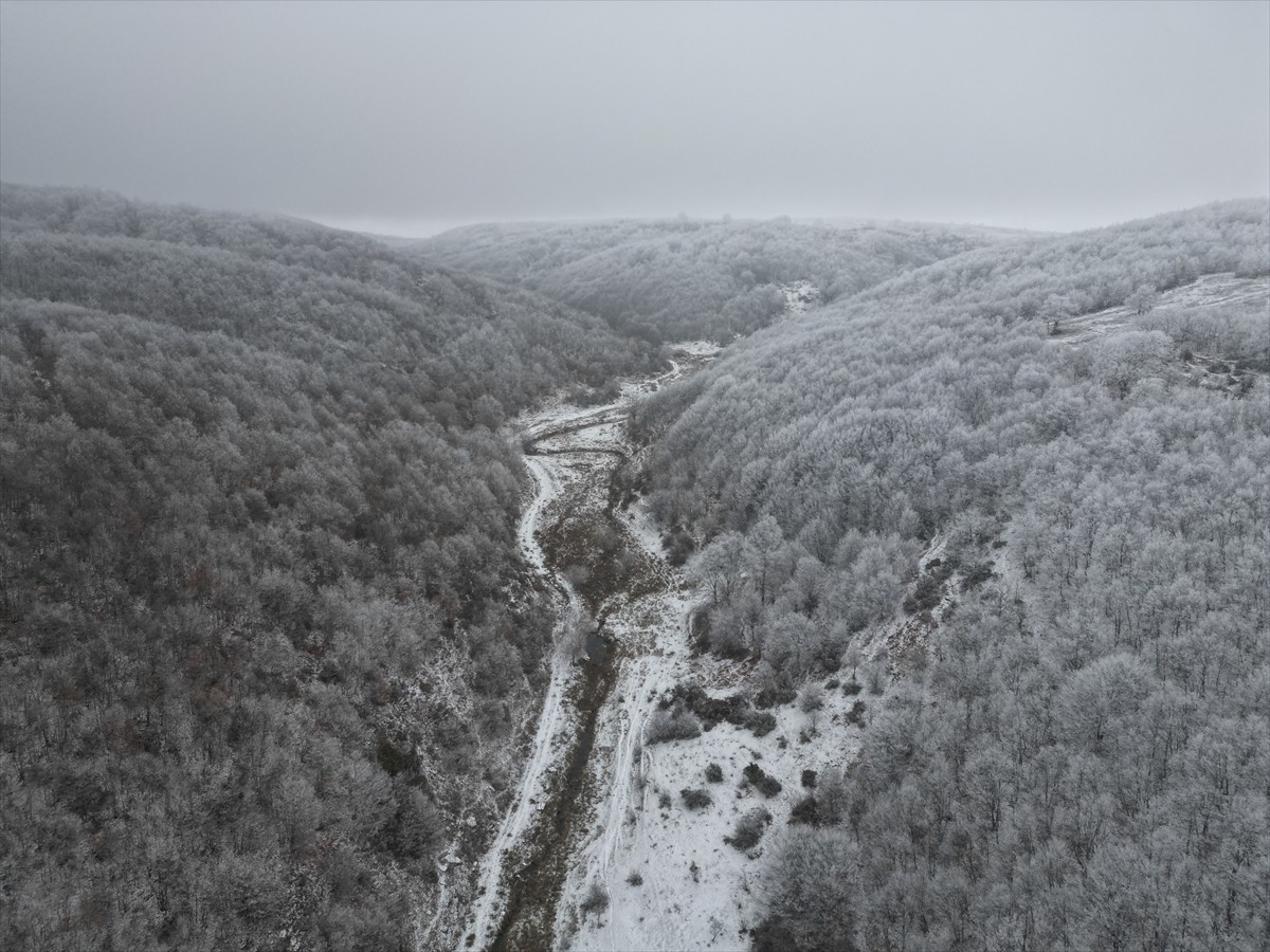 Tekirdağ'ın yüksek kesimlerinde kar yağışı etkili oluyor. Kar yağışıyla Ganos Dağı eteklerindeki...