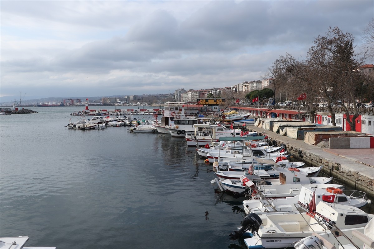 Tekirdağlı balıkçılar, Marmara Denizi'nde etkili olan poyraz nedeniyle 5 gündür avlanamıyor.