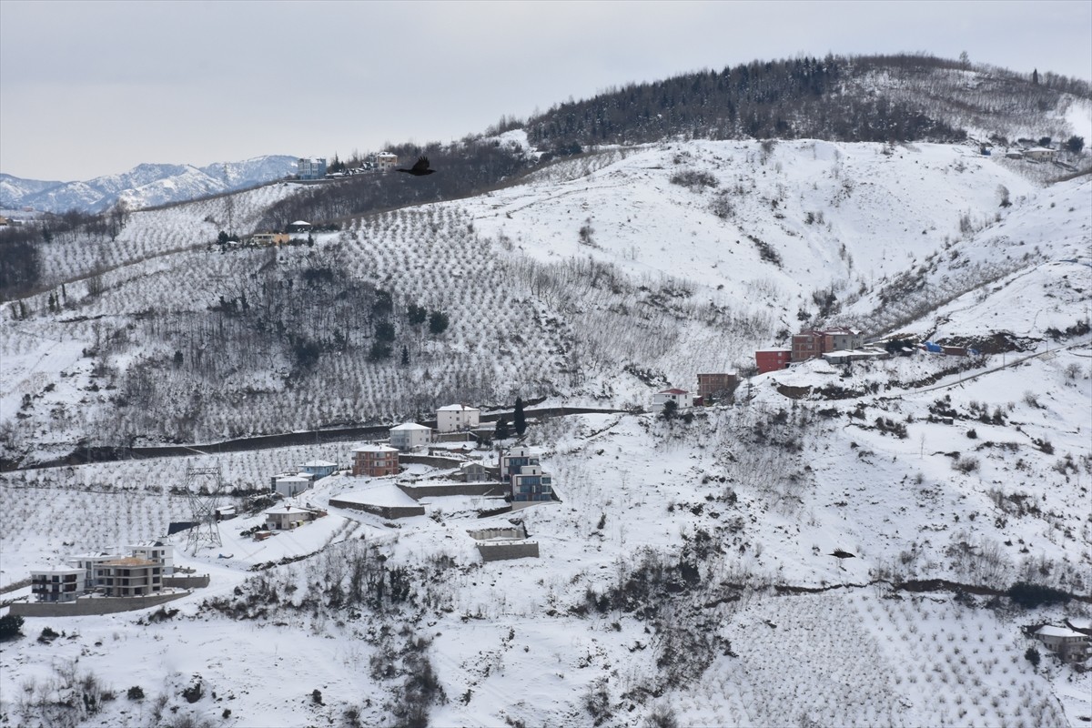 Trabzon'un Akçaabat ilçesinde kar yağışı etkili oldu.