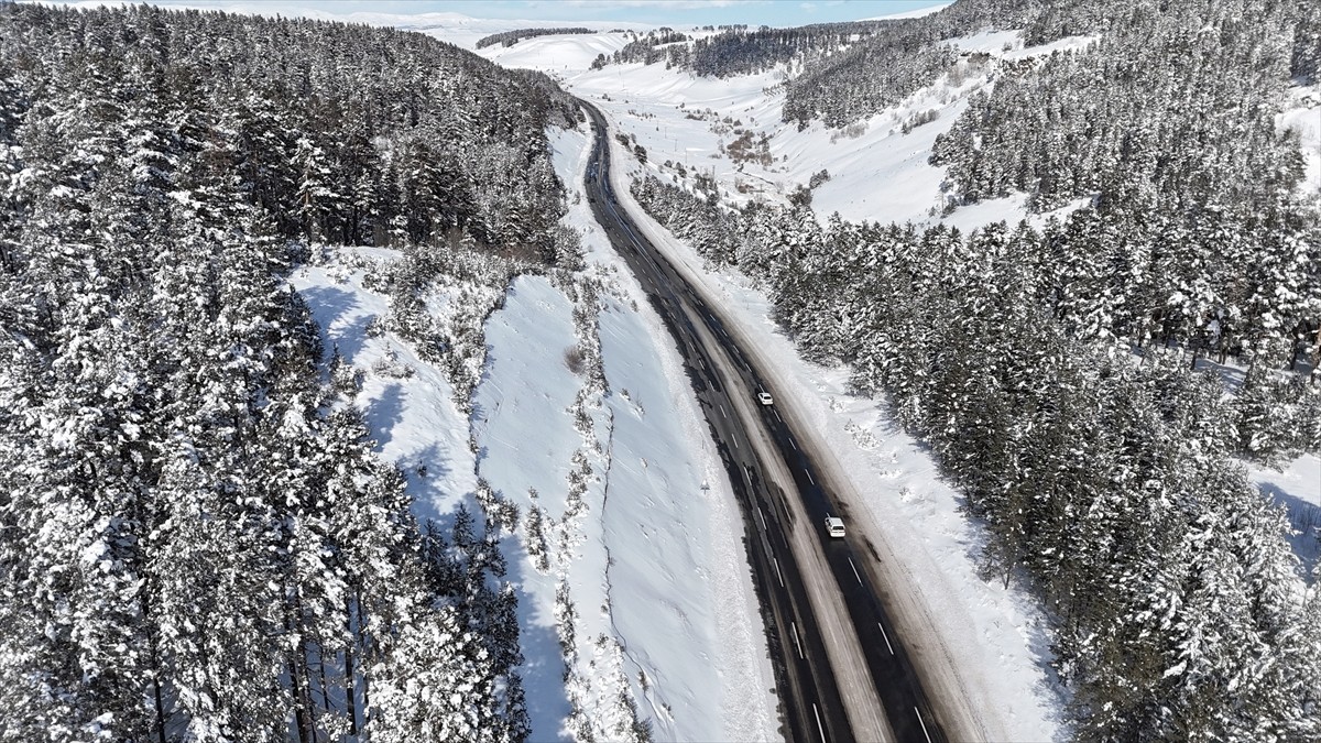 Türkiye'nin gözde turizm merkezlerinden Kars'ın Sarıkamış ilçesinde karla kaplanan ormanlık...
