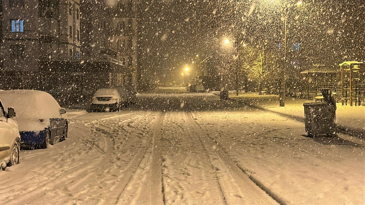 Van'ın Muradiye ilçesinde kar etkili oldu. 