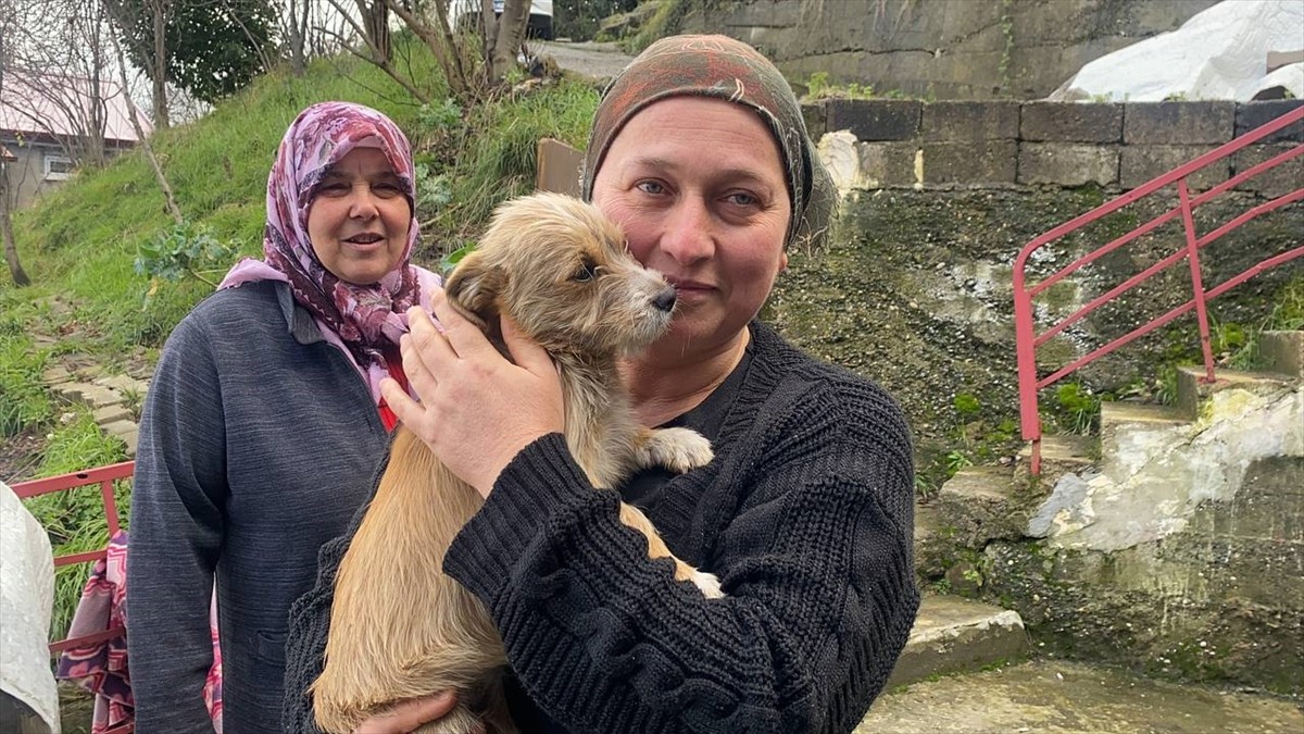 Zonguldak'ta çöp konteynerinin yanına bırakılan köpek yavrusu, bir hayvansever tarafından...