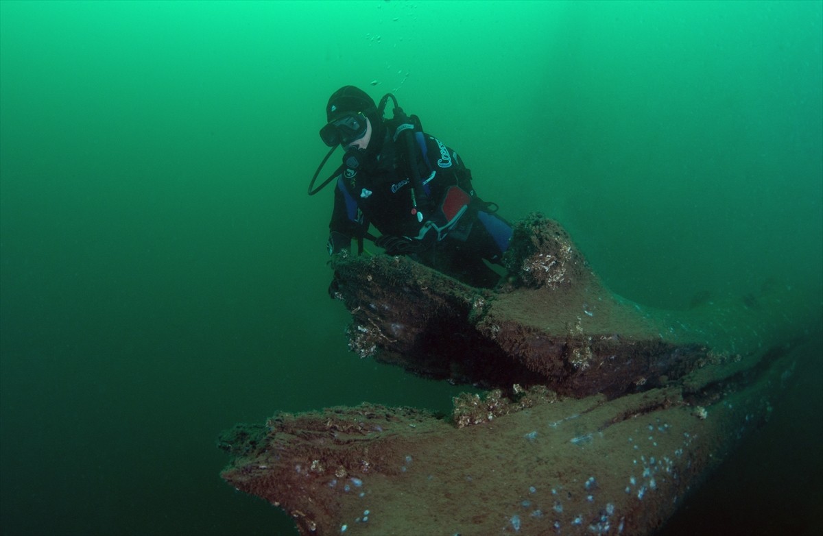 17 Ağustos 1999 Marmara Depremi'nde Kocaeli'nin Gölcük ilçesinde su altında kalan çınar ağaçları...