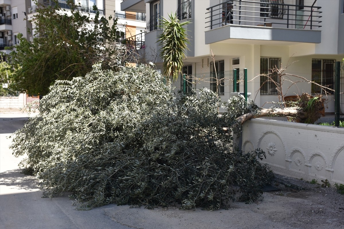 Antalya'da etkili olan kuvvetli rüzgar yaşamı olumsuz etkiledi. Saatteki hızı yaklaşık 60...
