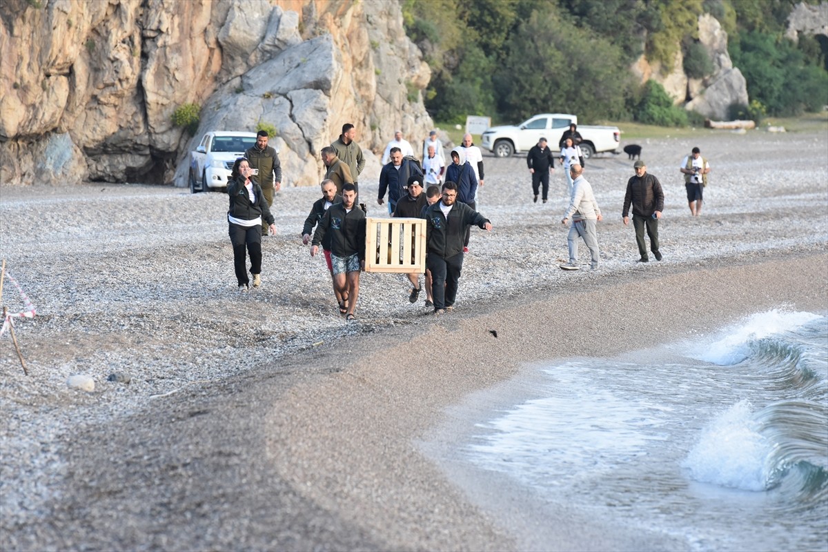 Antalya'da fırtına sonrası kıyıda ölmek üzereyken bulunan Akdeniz foku yavrusu, Eskişehir Hayvanat...