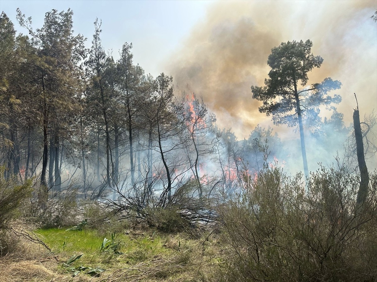  Antalya'nın Kemer ilçesinde ormanlık alanda çıkan yangına itfaiye ekipleri müdahale ediyor.