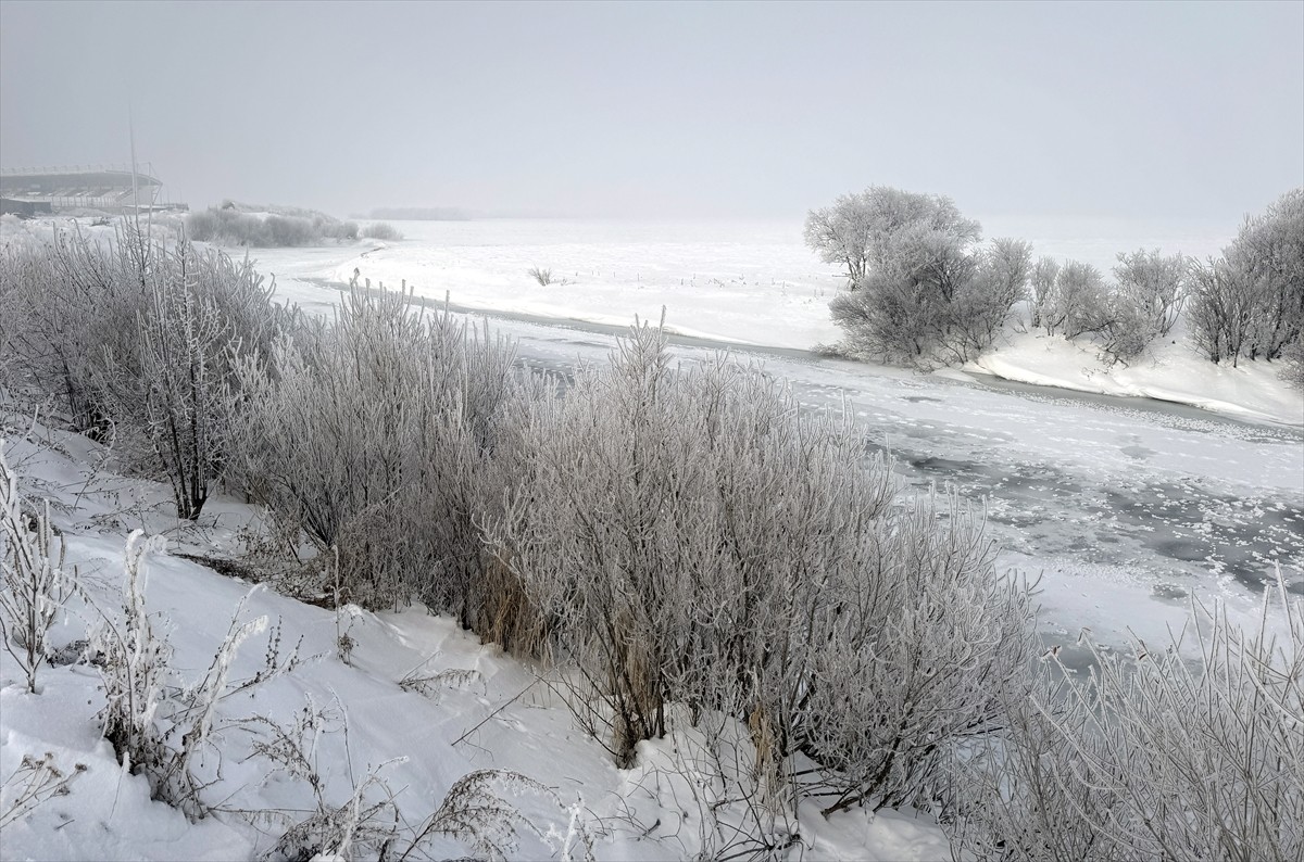 Ardahan'da soğuk havanın etkisiyle sis, kırağı ve buzlanma meydana geldi. Ağaçlar ve araçlar...