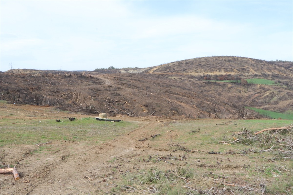 Bulgaristan'ın Utro gazetesi muhabiri Wanda Zembruska, 110 yıl önce her cephesinde kanlı...