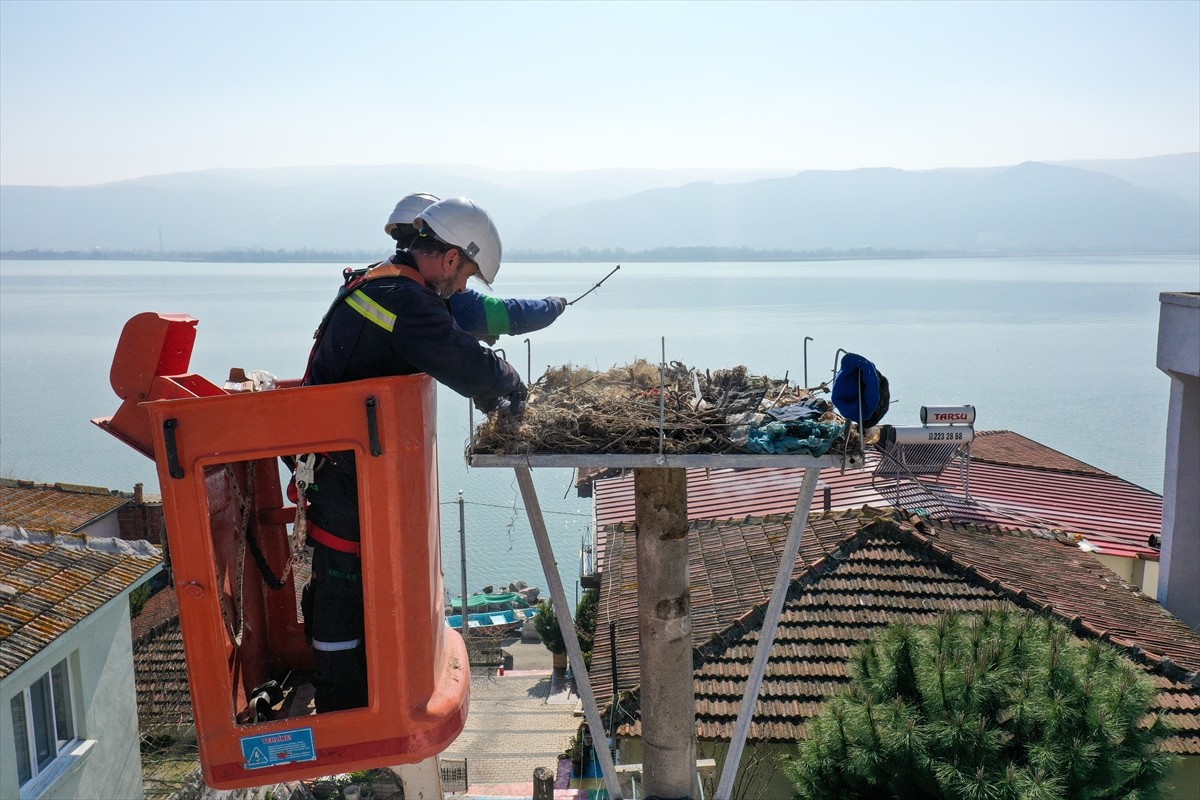 Bursa'da Uludağ Elektrik Dağıtım AŞ (UEDAŞ) ekipleri, baharın müjdecisi leyleklerin gelişi için...
