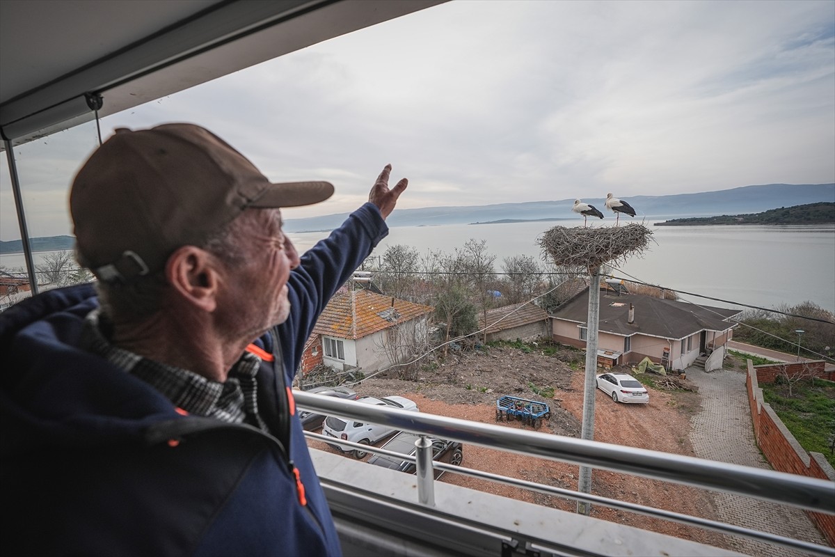 Bursa'nın Karacabey ilçesinde, Uluabat Gölü'nün kıyısındaki kırsal Eskikaraağaç Mahallesi'nin...