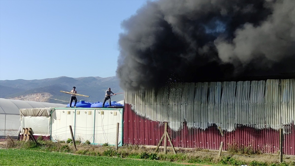 Bursa'nın Orhangazi ilçesinde gül serasında çıkan yangın hasara neden oldu.