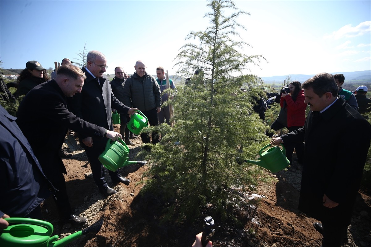 Bursa, Çanakkale, Yalova ve Kütahya'da, 21 Mart Dünya Ormancılık Günü ve Orman Haftası...