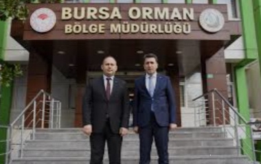 Bursa'da Bedava Fidan Dağıtımı Devam Ediyor