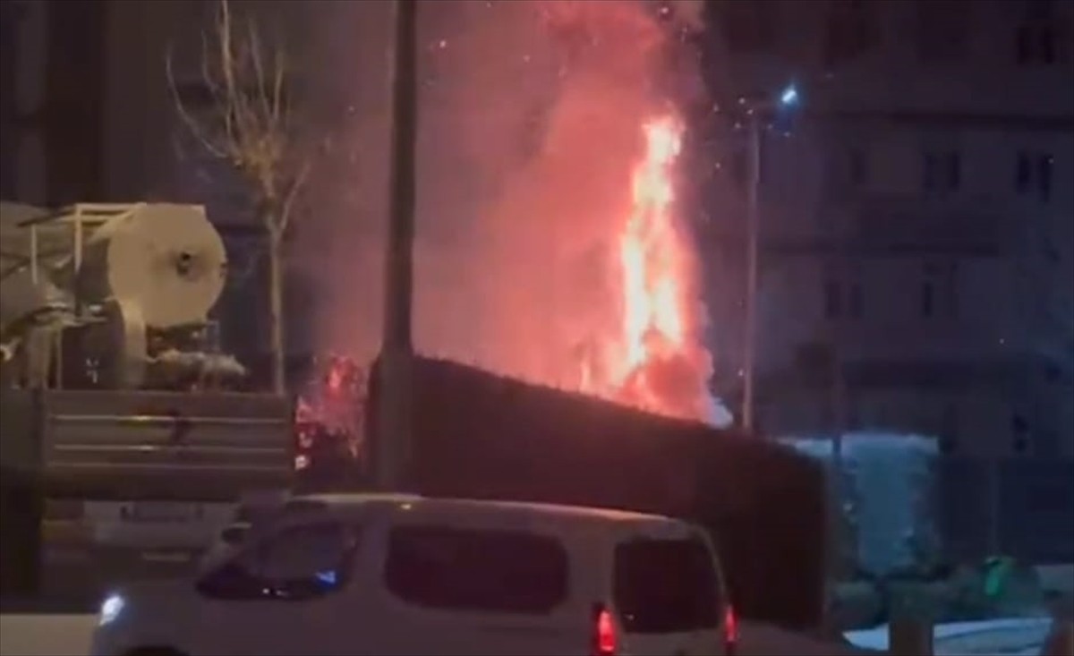 Çorum’da çocuk parkına torpil atılması sonucu çıkan yangında parktaki bazı ağaçlar zarar...