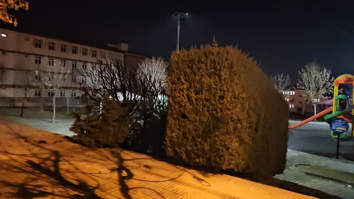 Çorum’da çocuk parkına torpil atılması sonucu çıkan yangında parktaki bazı ağaçlar zarar...