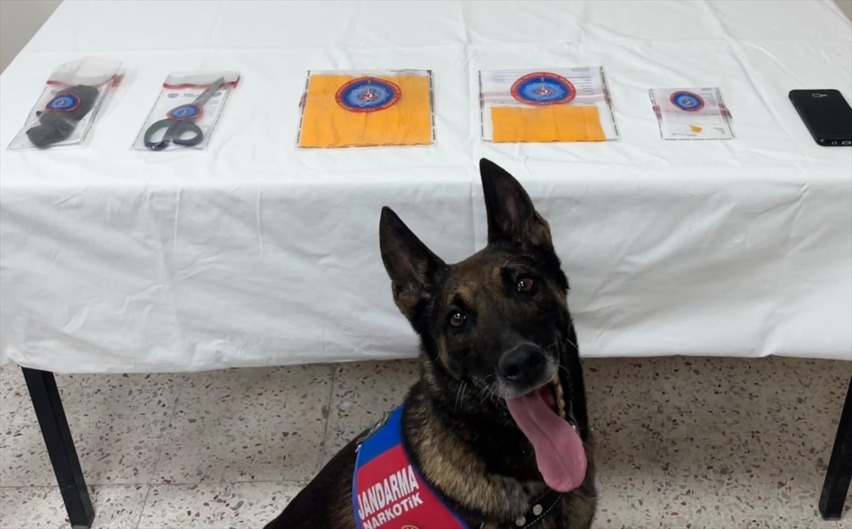 Denizli'de düzenlenen uyuşturucu operasyonunda gözaltına alınan 2 şüpheli tutuklandı. Narkotik...