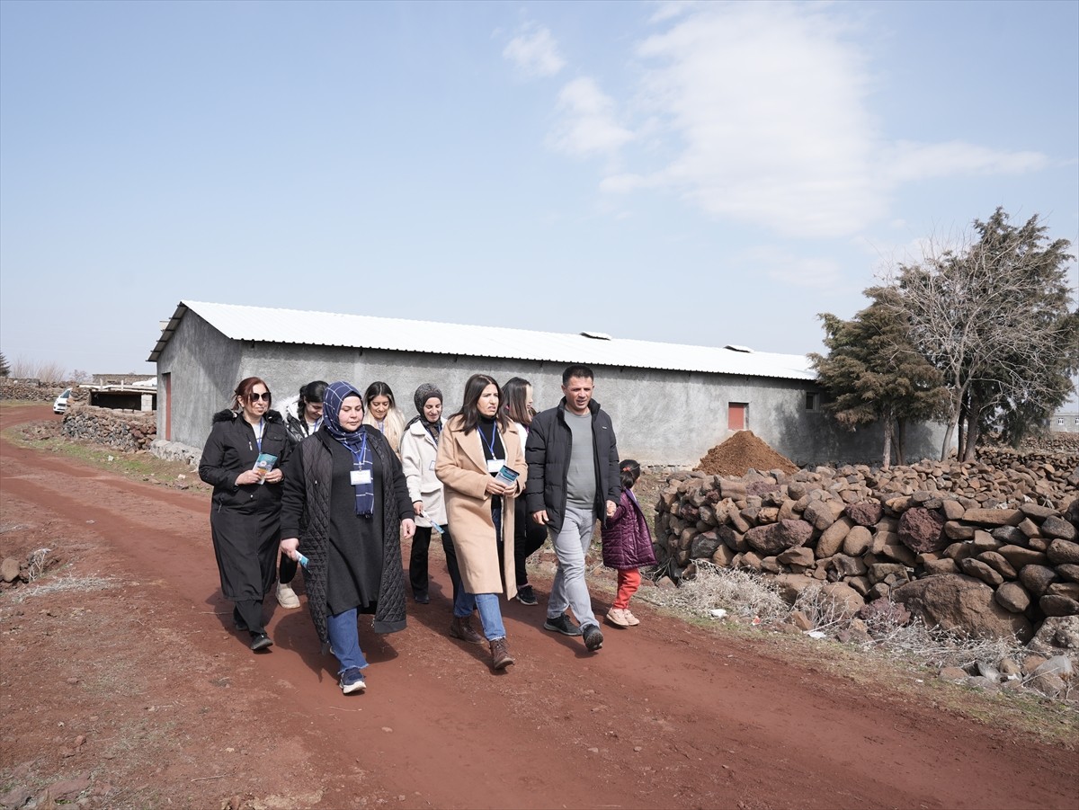 Diyarbakır'da hayata geçirilen projeyle kırsal mahalleleri gezen kadınlar, çocuk yaşta...