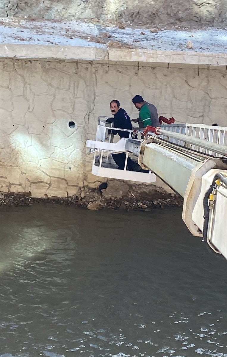 Gümüşhane'de Harşit Çayı'nda mahsur kalan 2 kedi, itfaiye ekiplerince kurtarıldı.