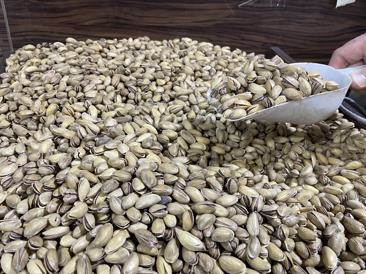 Güneydoğu Anadolu Bölgesi'nin önemli tarım ürünlerinden fıstıkta geçen sezon en yüksek üretim...