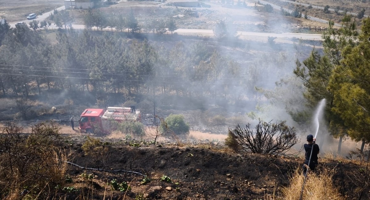Hatay'ın İskenderun ilçesinde ormanlık alanda çıkan yangın, Orman Bölge Müdürlüğü ve Büyükşehir...