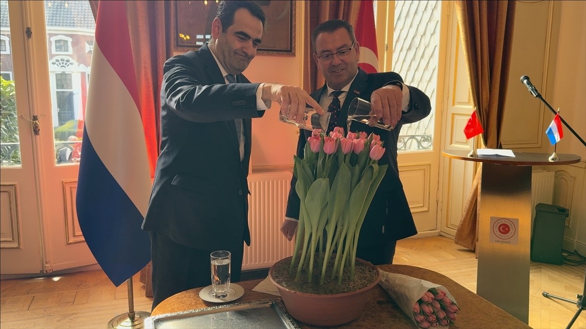 Hollanda'da özel olarak yetiştirilen kırmızı bir "triumph" lalesine, Türkiye'nin en uzun nehri...