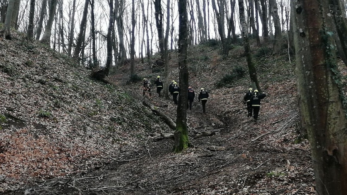 İstanbul'da kaybolan peyzaj mimarı Ece Gürel'in bulunması için Belgrad Ormanı'nda başlatılan arama...