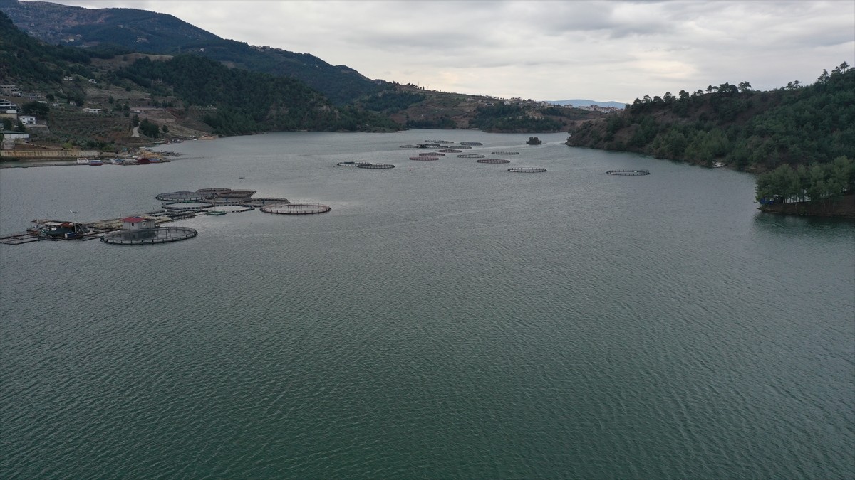 Kahramanmaraş'taki 8 barajda geçen yılın mart ayında yüzde 76,6 olarak ölçülen ortalama doluluk...
