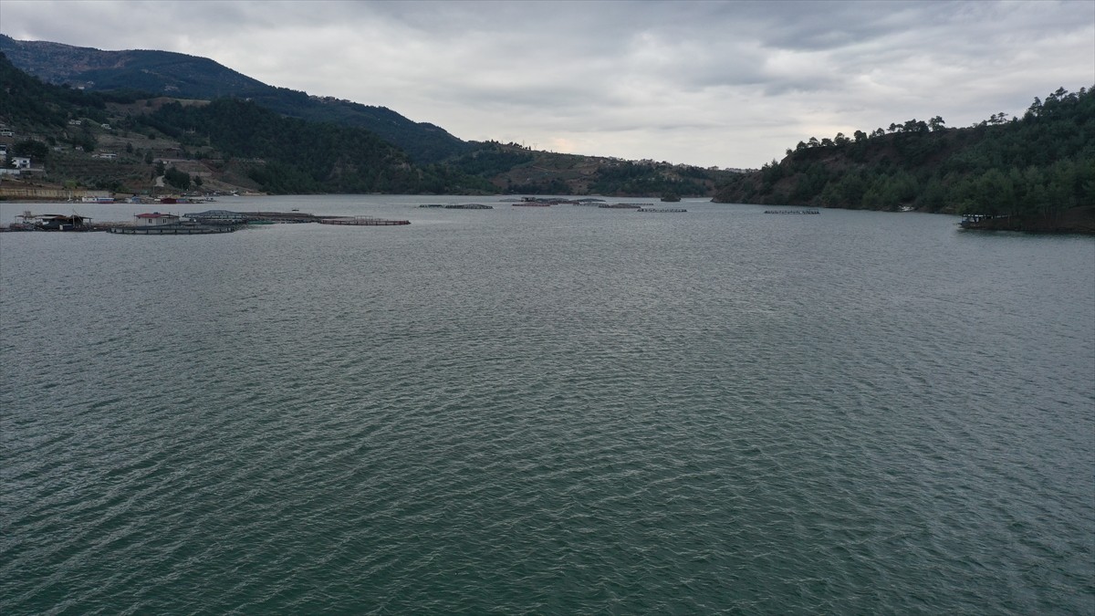 Kahramanmaraş'taki 8 barajda geçen yılın mart ayında yüzde 76,6 olarak ölçülen ortalama doluluk...