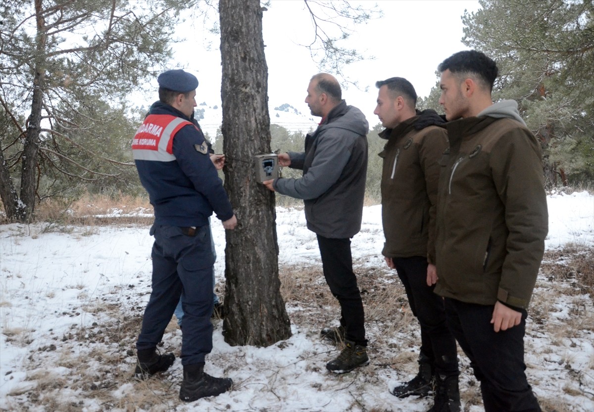 Kars'ın Sarıkamış ilçesindeki ormanlık alanlara, yaban hayatının takibi için ısı ve harekete...