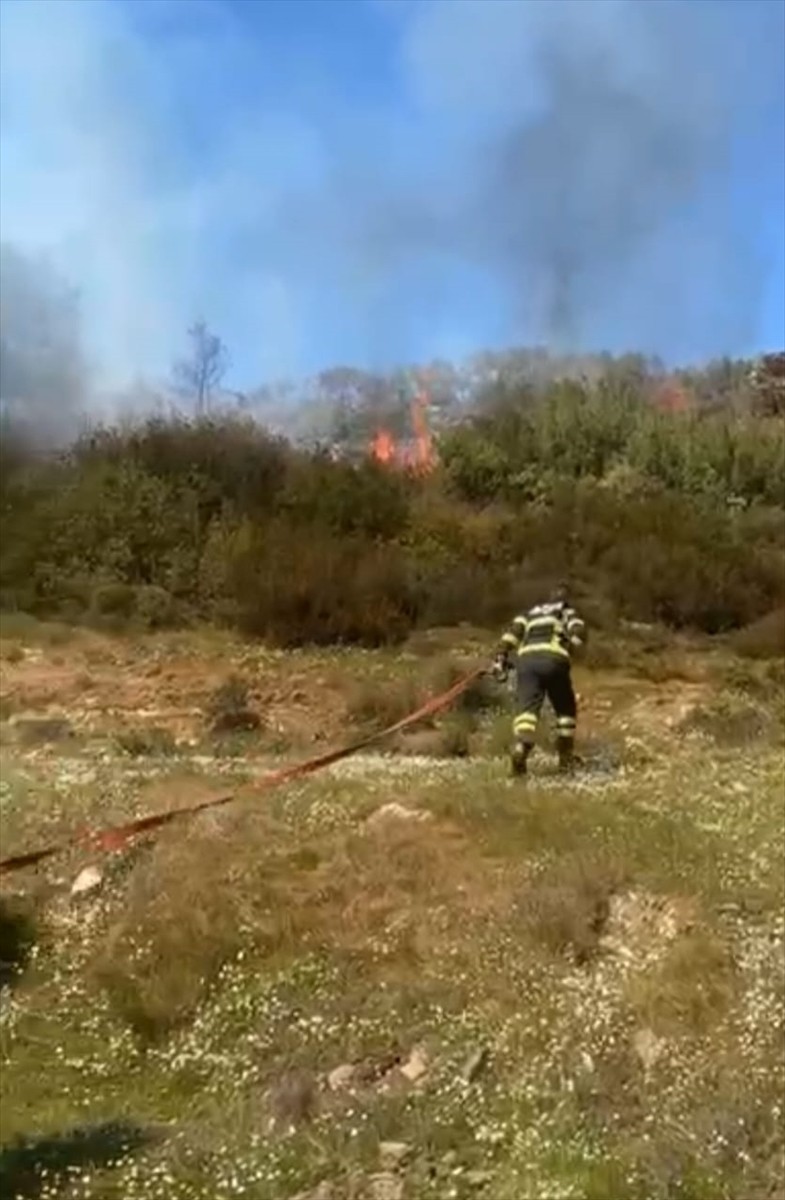  Muğla'nın Menteşe ilçesinde ormanlık ve zeytinlik alanda çıkan yangın ekiplerin müdahalesiyle...