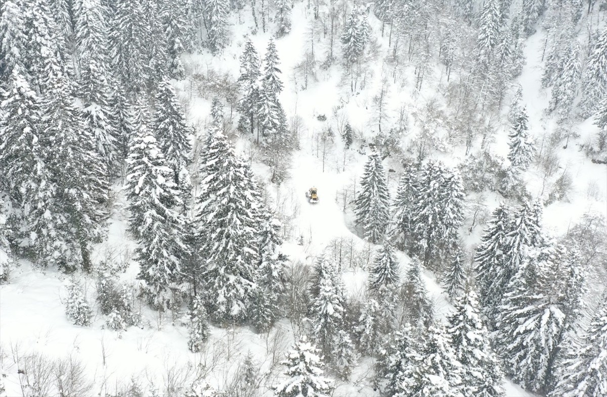 Ordu'nun yüksek kesimlerinde kar etkili oldu. Ekipler, iş makineleriyle karla mücadele...
