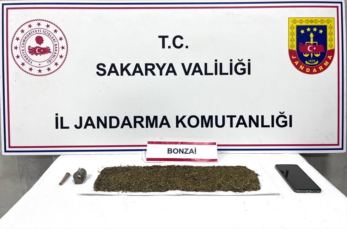 Sakarya'nın Sapanca ilçesinde düzenlenen uyuşturucu operasyonunda gözaltına alınan 2 zanlı...