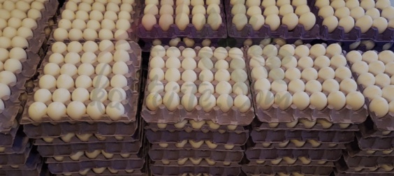 Sofralık Yumurta İhracatında Fiyat Artışı: Kilogram Başına 1,5 Dolar Kesinti