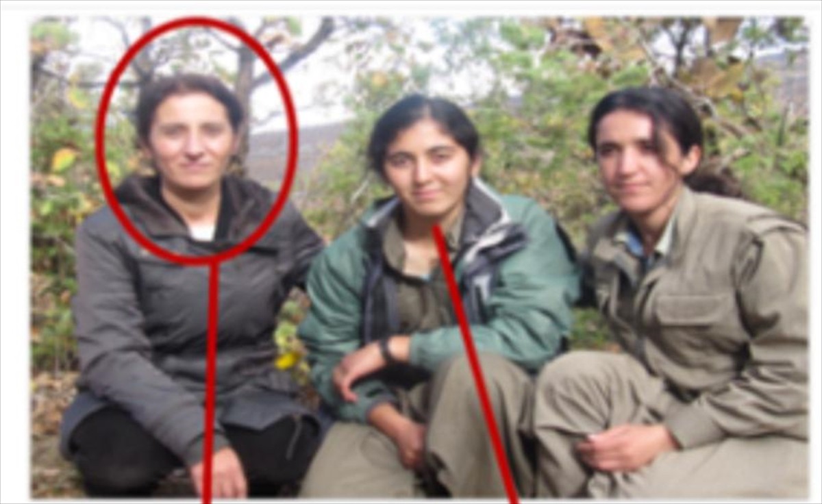 Terör örgütü PKK/KCK'nın yönetiminde belediyelere örgüt mensuplarının yerleştirildiği iddiasıyla...