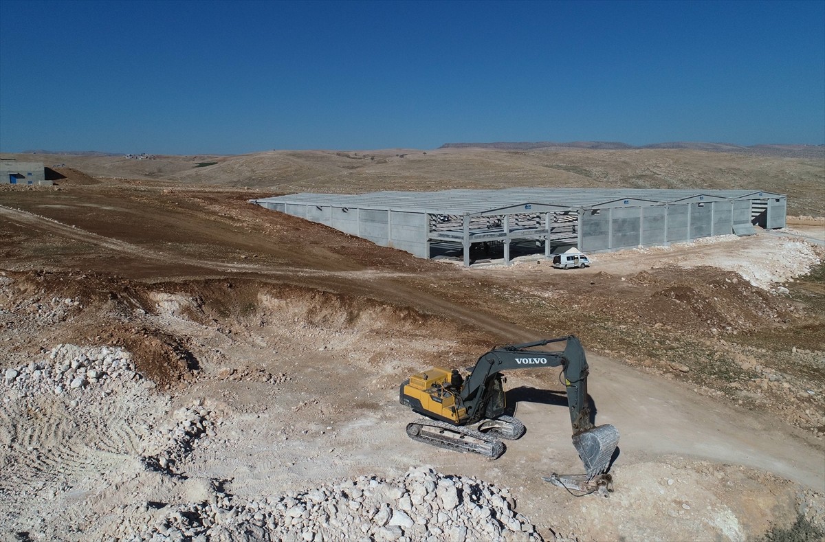 Teşvik uygulaması, coğrafi konumu, tesis edilen huzur ortamı ve genç nüfus oranının yüksek olması...