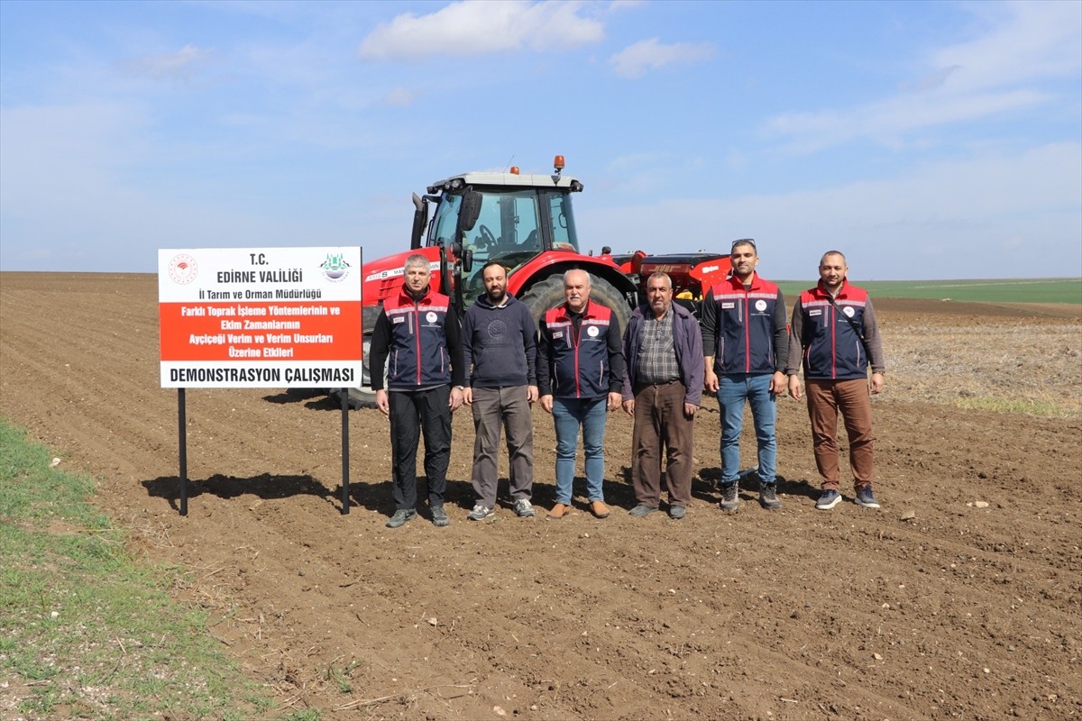  Türkiye'nin önemli ayçiçeği üretim merkezlerinden Edirne'de, bitkinin kuraklığa karşı...