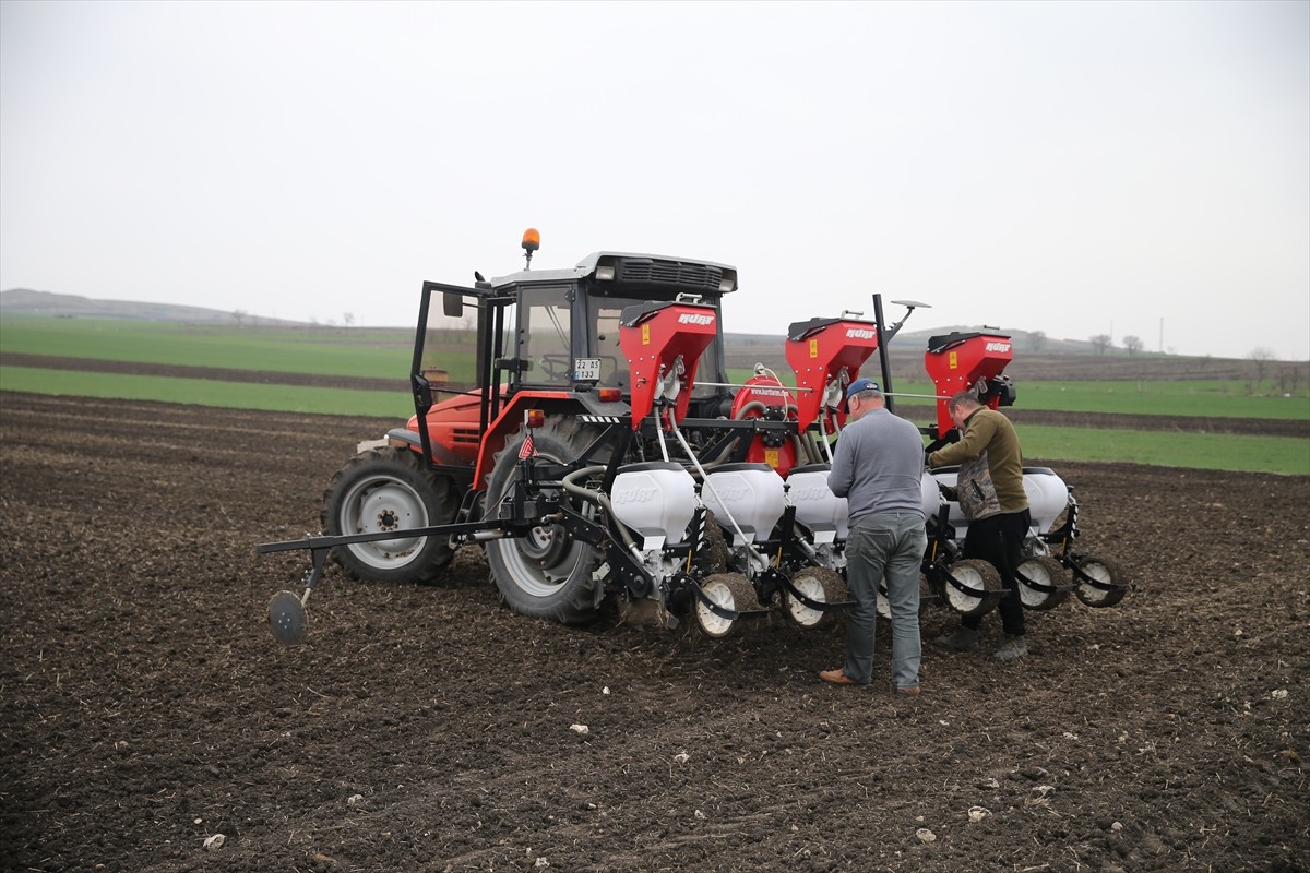 Türkiye'nin önemli ayçiçeği üretim merkezlerinden Edirne'de çiftçilere, bitkinin yaz aylarındaki...