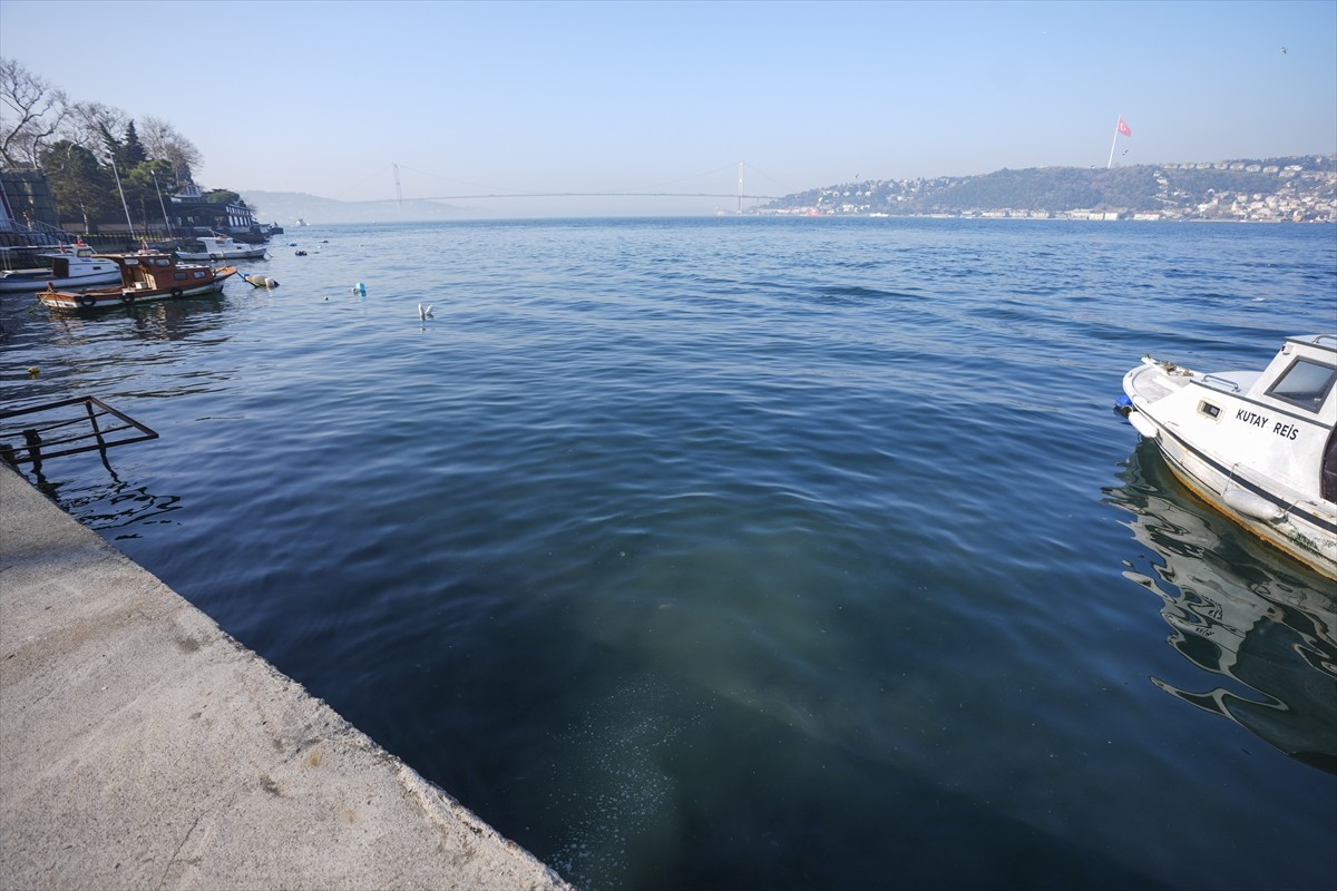 Üsküdar Çengelköy Mahallesi Kuleli Caddesi'ndeki sahil şeridinde kanalizasyondan geldiği...
