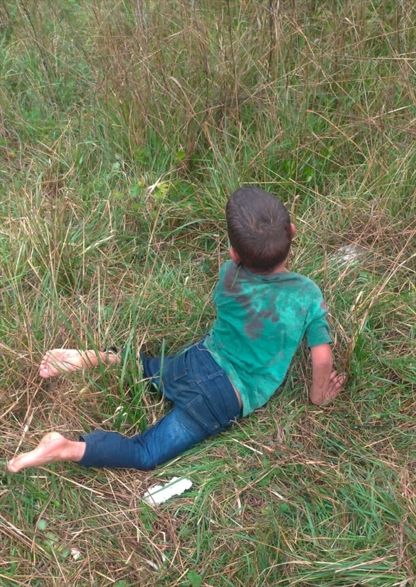 Yalova'da bakkala giderken sahipsiz köpeklerin saldırısına uğrayan 5 yaşındaki çocuk ağır...