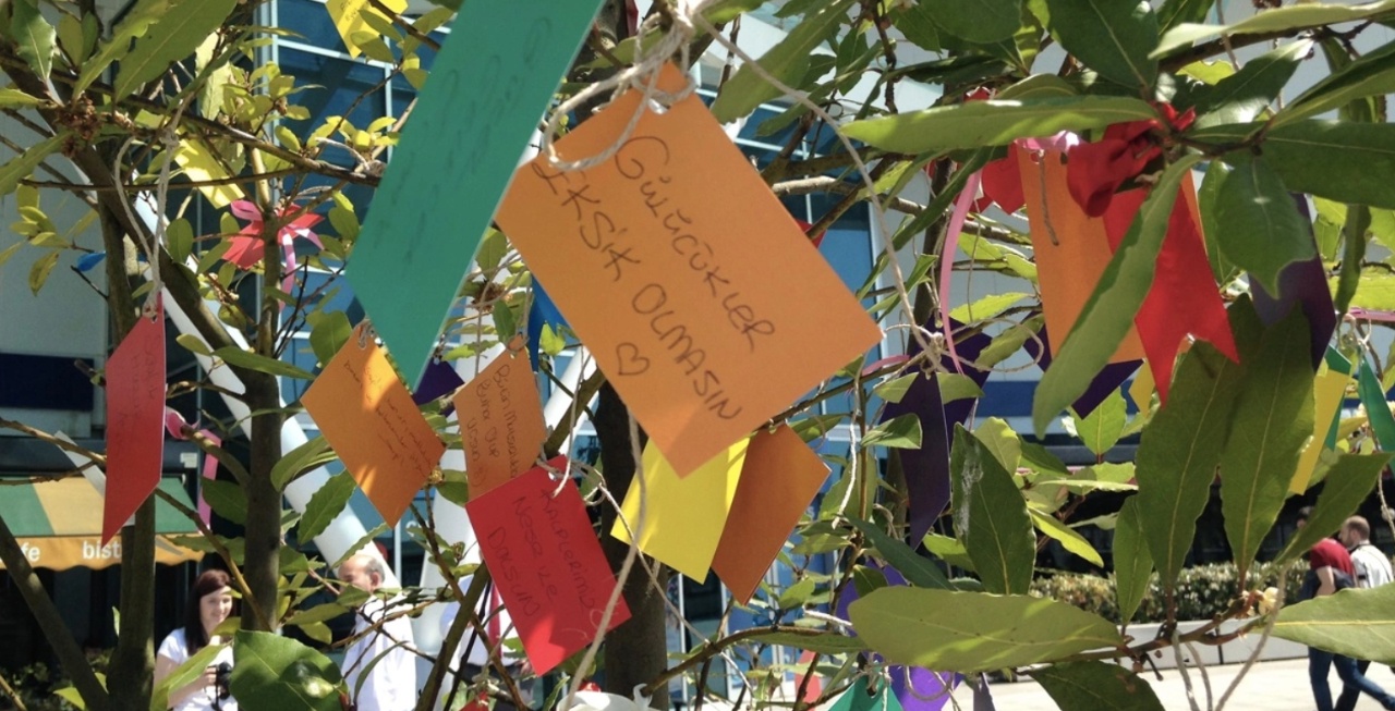 2025 Hıdırellez Tarihi ve Ritüelleri: Dileklerinizi Tutun!