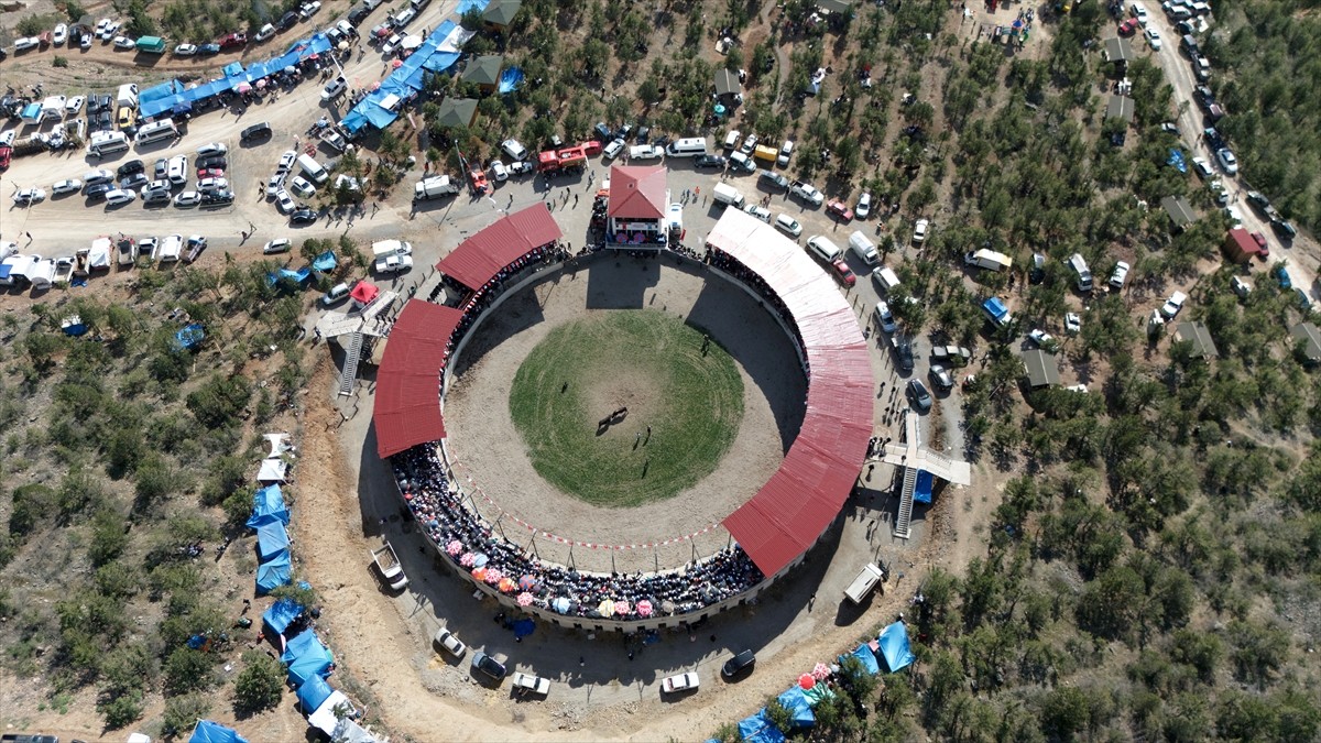 Artvin'in Yusufeli ilçesinde 2 asırlık geçmişe dayanan boğa güreşleri kültürünü yaşatmak için...