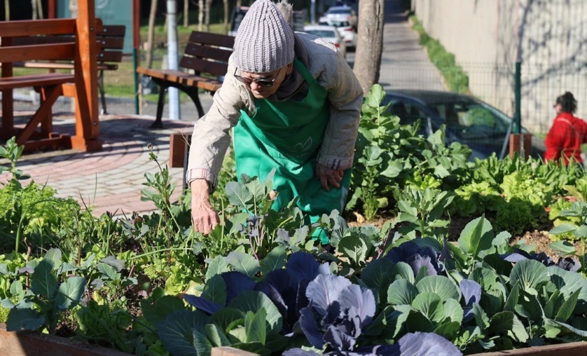 Ataşehir Belediyesi, 'Kent Bostanları' Projesi ile İstanbullulara Ücretsiz Tarım Fırsatı Sunuyor