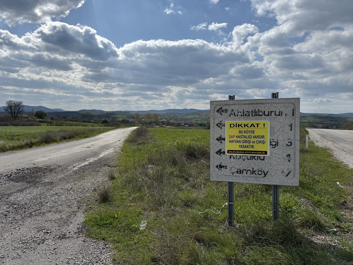 Çanakkale'nin Çan ilçesinde şap hastalığı şüphesiyle bir köyde daha karantina uygulaması...
