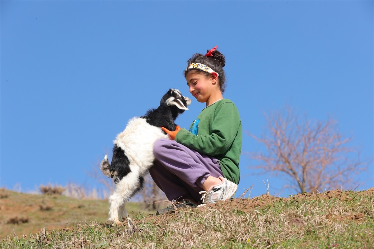 Çetin geçen kışın ardından havanın ısındığı Hakkari'de besiciler, yeni doğan ve ilkbaharın...