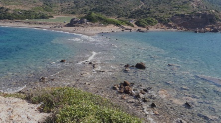 Çıfıt Adası: İzmir'in Gizli Doğa Harikası