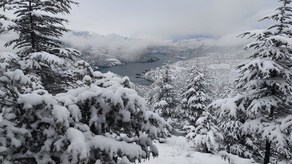 Çorum'un Oğuzlar ilçesindeki Obruk Barajı Gölü ve çevresini kaplayan ormanlık alan karla...