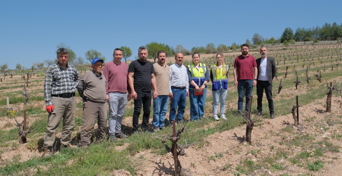 Denizli'de Zirai Don Sonrası Üreticilere Destek Müjdesi