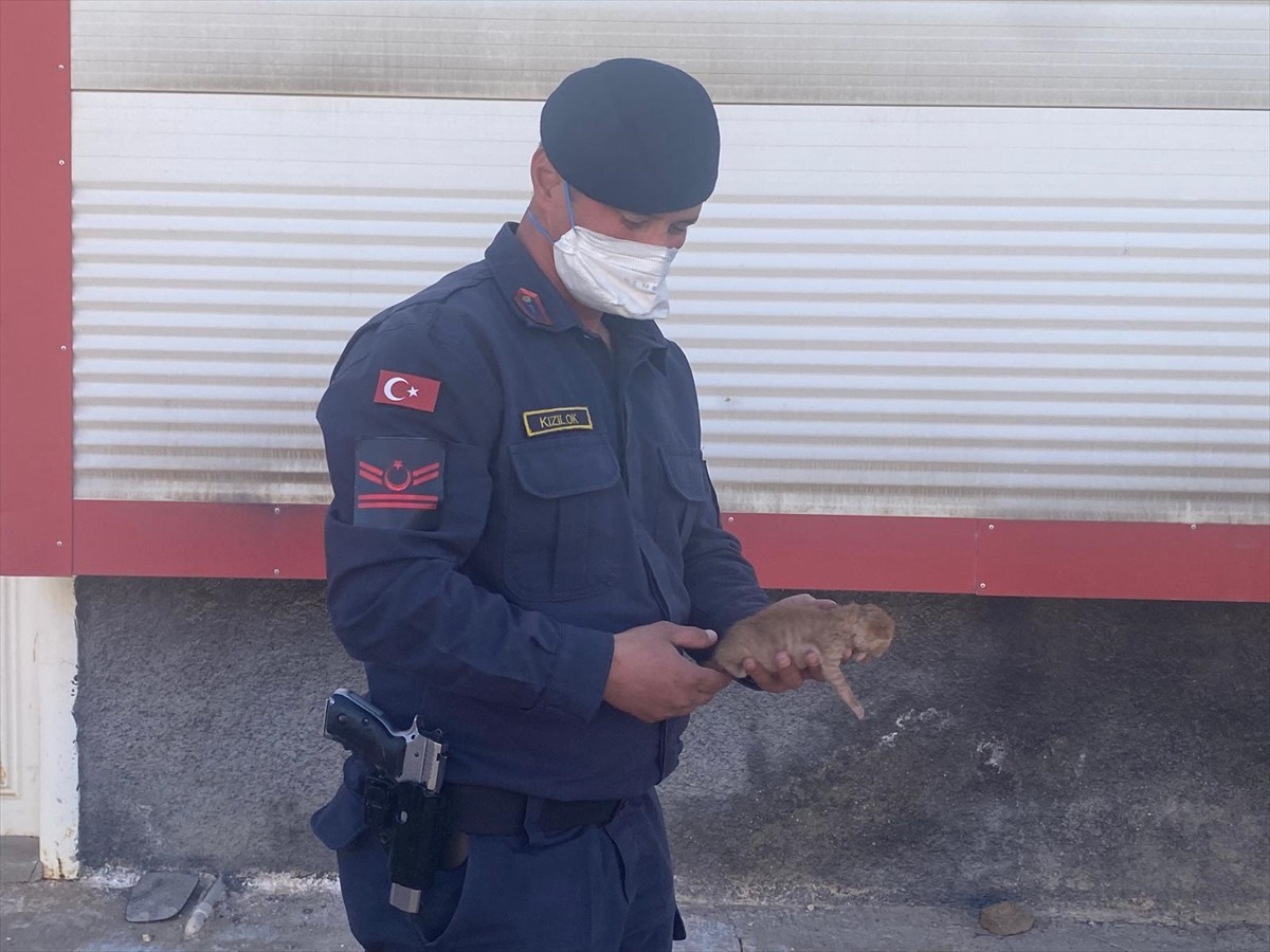 Diyarbakır'da, Mega Sanayi Sitesi'nde kozmetik ürün imal edilen depoda çıkan ve iki depoya...