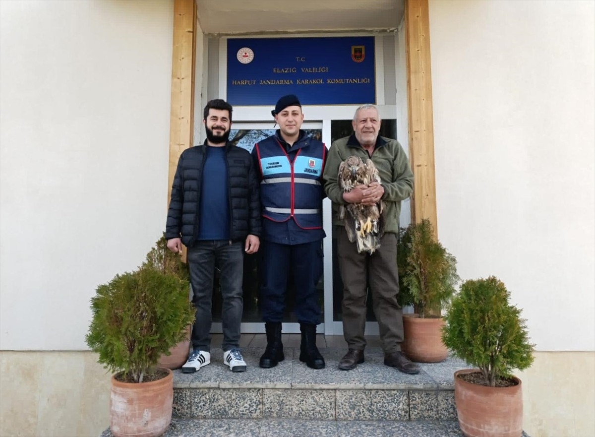  Elazığ'da jandarma ekiplerince bulunan yaralı kaya kartalı, tedavi altına alındı.